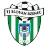 Horni Briza Logo