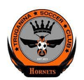 Truganina Hornets Logo