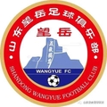 Shandong Wangyue FC Logo