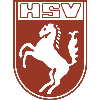 Hammer SpVg Youth Logo
