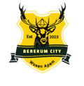 Berekum City Logo