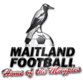 Đội dự bị Maitland FC Logo