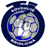 Bridlicna Logo