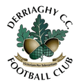 Derriaghy FC Logo