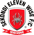 Eleven Wise Logo