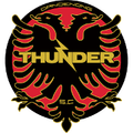 Dandenong Thunder Logo