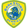 Canterbury Bankstown FC Logo