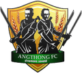 Angthong FC Logo
