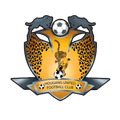 Runner up logo