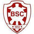 Botafogo BA Logo