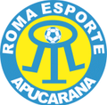 Apucarana/PR Logo