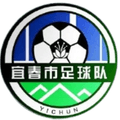 Yichun Team Logo