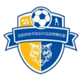 Shenyang Hepingler U13 Logo