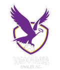 Boroondara Eagles FC Logo
