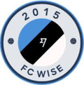 Transfer Wise Logo