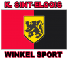 VC Winkel Sport Logo