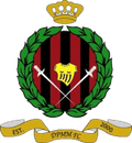 Runner up logo