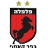 Falfala Kfar Qassem Beach Soccer Logo
