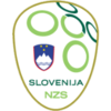 Slovenia VI Logo