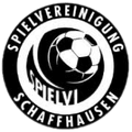 SV Schaffhausen Logo