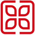Shanghai Shenshui FC Logo