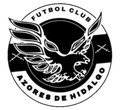 Azores De Hidalgo Logo