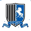 Ihud Bnei Jat Logo
