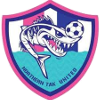 Northern Tak United Logo