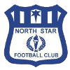North Star (w) Logo