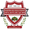 Nekemt Ketema Logo