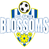 San Antonio Blossoms (w) Logo