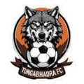 Tungabhadra Logo