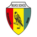Sokol Kolbuszowa Dolna(w) Logo