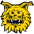 FC Ilves II (w) Logo