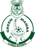 Green Mamba Logo