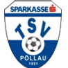 TSV Sparkasse Pollau Logo
