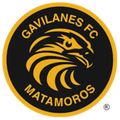 HO GAR H. Matamoros Logo