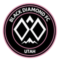 Black Diamond (W) Logo