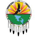 Peerless SC Logo