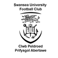 Swansea University Logo