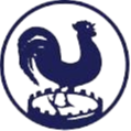HV CV Quick Logo