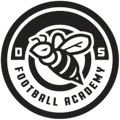DS Edusoccer Logo