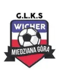 Wicher Miedziana Gora Logo