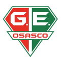 Gremio Osasco Logo