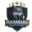 PSC Young Abadi Logo