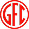 Guarani RS U20 Logo