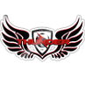 Dandenong Thunder U20 Logo