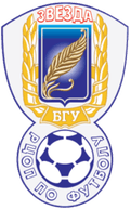 Dorstroysiti Moscow Logo