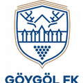 Goygol Logo