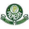 Palmeira RN Logo